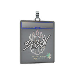 Sticker Slab | syrsoN | Antwerp 2022