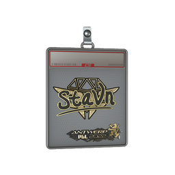 Sticker Slab | stavn (Gold) | Antwerp 2022