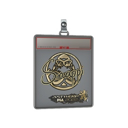Sticker Slab | Snappi (Gold) | Antwerp 2022