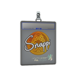 Sticker Slab | Snappi | Antwerp 2022