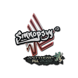 sinnopsyy | Antwerp 2022