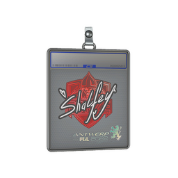 Sticker Slab | shalfey | Antwerp 2022