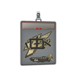 Sticker Slab | rox (Gold) | Antwerp 2022 - CS2 Skins
