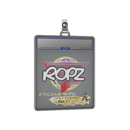 Sticker Slab | ropz (Champion) | Antwerp 2022
