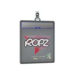Sticker Slab | ropz | Antwerp 2022