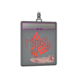 Sticker Slab | rigoN (Holo) | Antwerp 2022