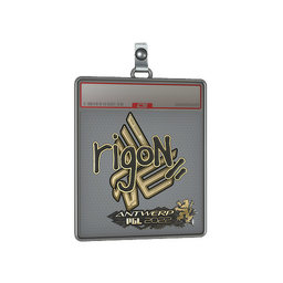 Sticker Slab | rigoN (Gold) | Antwerp 2022