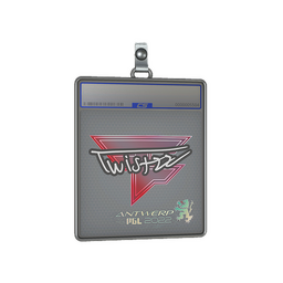 Sticker Slab | Twistzz | Antwerp 2022