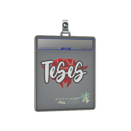 Sticker Slab | TeSeS | Antwerp 2022