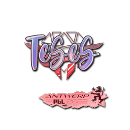 TeSeS (Holo) | Antwerp 2022