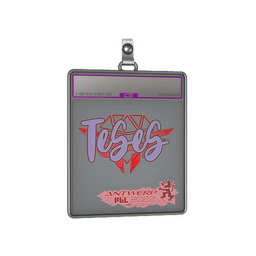 Sticker Slab | TeSeS (Holo) | Antwerp 2022