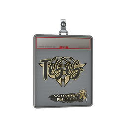 Sticker Slab | TeSeS (Gold) | Antwerp 2022