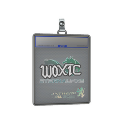 Sticker Slab | woxic | Antwerp 2022