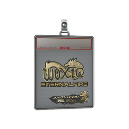 Sticker Slab | woxic (Gold) | Antwerp 2022