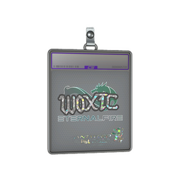 Sticker Slab | woxic (Glitter) | Antwerp 2022