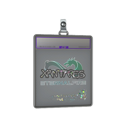 Sticker Slab | XANTARES (Glitter) | Antwerp 2022