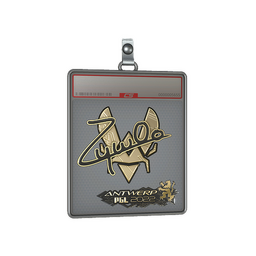 Sticker Slab | ZywOo (Gold) | Antwerp 2022