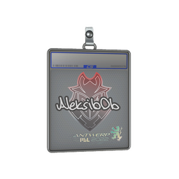 Sticker Slab | Aleksib | Antwerp 2022