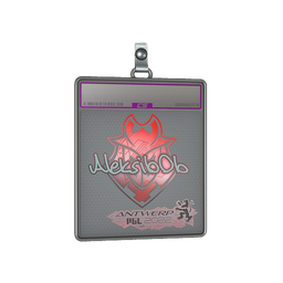 Sticker Slab | Aleksib (Holo) | Antwerp 2022