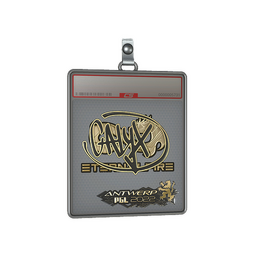 Sticker Slab | Calyx (Gold) | Antwerp 2022