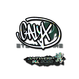 Calyx (Glitter) | Antwerp 2022
