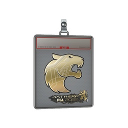Sticker Slab | FURIA (Gold) | Antwerp 2022