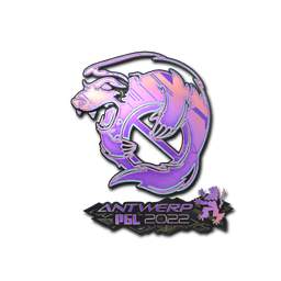 Outsiders (Holo) | Antwerp 2022