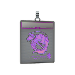 Sticker Slab | Outsiders (Holo) | Antwerp 2022