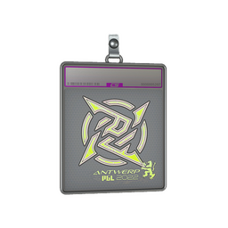 Sticker Slab | Ninjas in Pyjamas (Holo) | Antwerp 2022