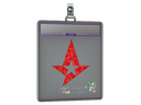 Sticker Slab | Astralis (Glitter) | Antwerp 2022