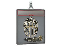 Sticker Slab | BIG (Gold) | Antwerp 2022