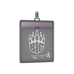 Sticker Slab | BIG (Holo) | Antwerp 2022
