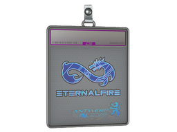 Sticker Slab | Eternal Fire (Holo) | Antwerp 2022