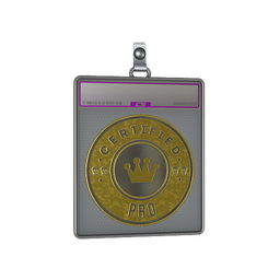 Sticker Slab | The Pro (Foil)