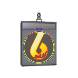 Sticker Slab | Flame Tier6 (Holo)