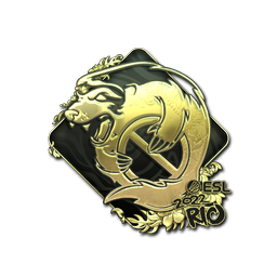 Outsiders (Gold) | Rio 2022