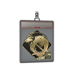 Sticker Slab | Outsiders (Gold) | Rio 2022