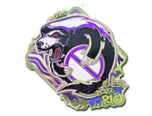 Sticker | Outsiders (Holo) | Rio 2022