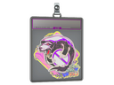 Sticker Slab | Outsiders (Holo) | Rio 2022