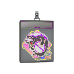 Sticker Slab | Outsiders (Holo) | Rio 2022