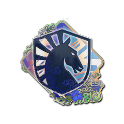 Team Liquid (голографическая) | Рио-2022