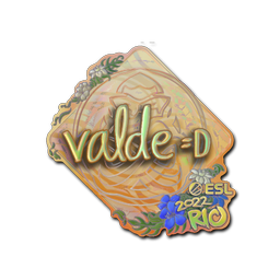 v4lde (Holo) | Rio 2022