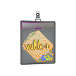 Sticker Slab | v4lde (Holo) | Rio 2022