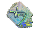 Sticker | TRY (Holo) | Rio 2022