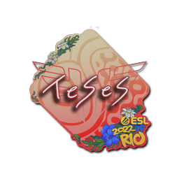 TeSeS | Rio 2022