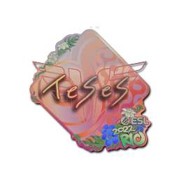 TeSeS (Holo) | Rio 2022