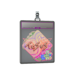 Sticker Slab | TeSeS (Holo) | Rio 2022