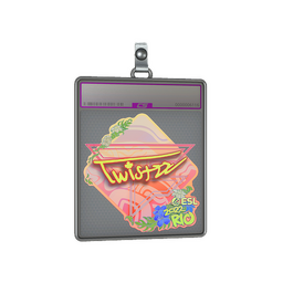 Sticker Slab | Twistzz (Holo) | Rio 2022
