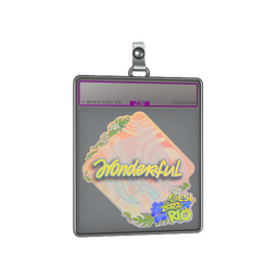 Sticker Slab | w0nderful (Holo) | Rio 2022