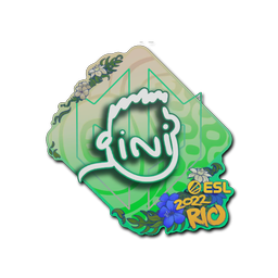 VINI | Рио-2022